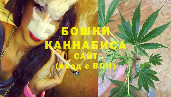 соль ск Волосово
