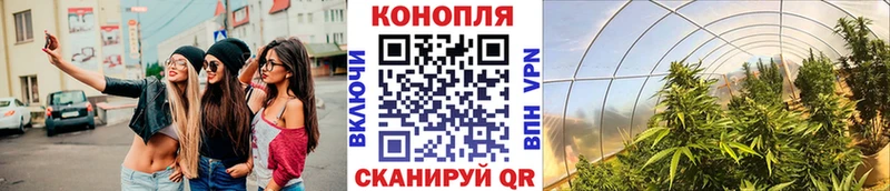 Бошки марихуана AK-47  ОМГ ОМГ зеркало  Игра  купить наркотик 